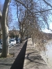 Lungotevere in Augusta