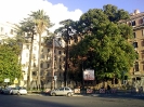 Piazza delle Finanze