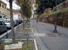 Viale Pretoriano