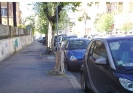 Viale XXI Aprile (a)