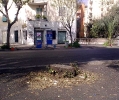 Viale Guglielmo Marconi