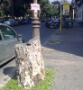 Viale Giuseppe Mazzini (a)