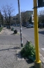 Viale C. T. Odescalchi (a)