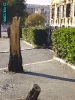 Via Cernaia (f)