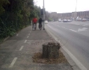 Viale delle Terme di Caracalla (a)