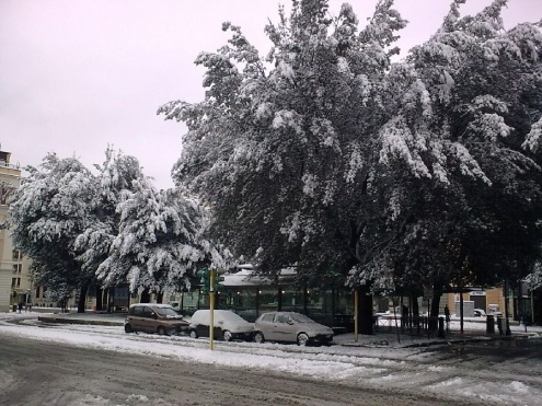 leccio_piazza_indipendenza_roma_febbraio2012