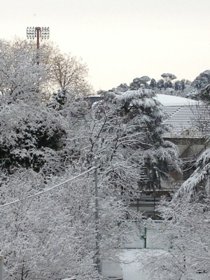 viale_tiziano_neve_roma_feb2012_2