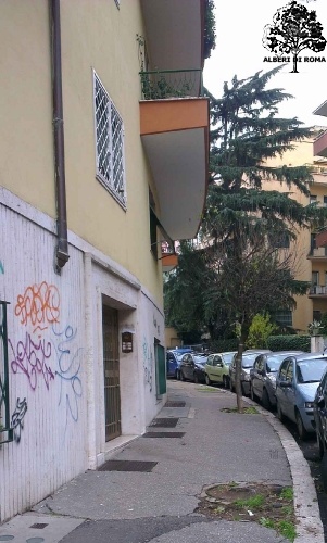 Via Rocca Sinibalda